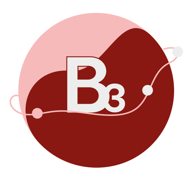 Fórmula B3